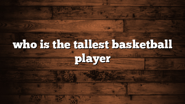 who is the tallest basketball player