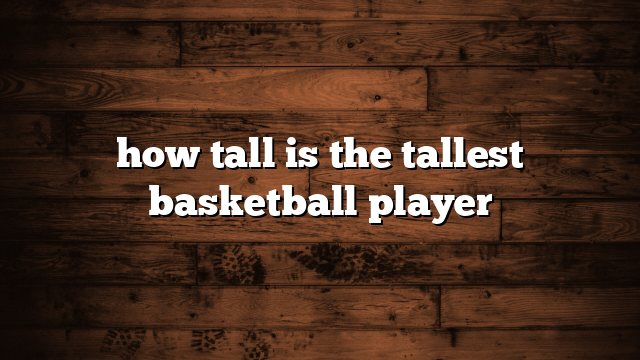 how tall is the tallest basketball player