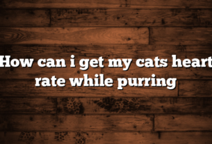 How can i get my cats heart rate while purring