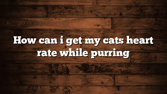 How can i get my cats heart rate while purring