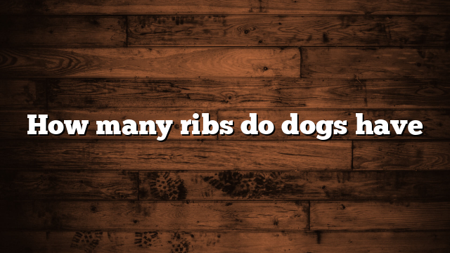 How many ribs do dogs have