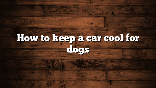 How to keep a car cool for dogs