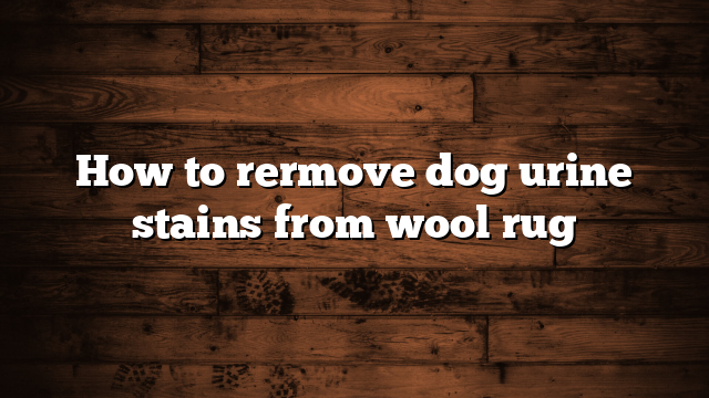 How to rermove dog urine stains from wool rug