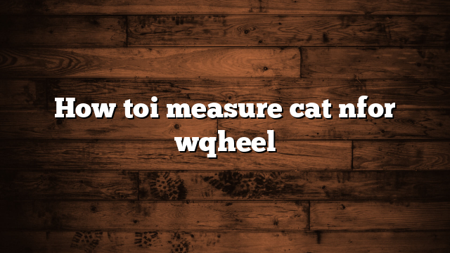 How toi measure cat nfor wqheel