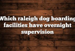 Which raleigh dog boarding facilities have overnight supervision