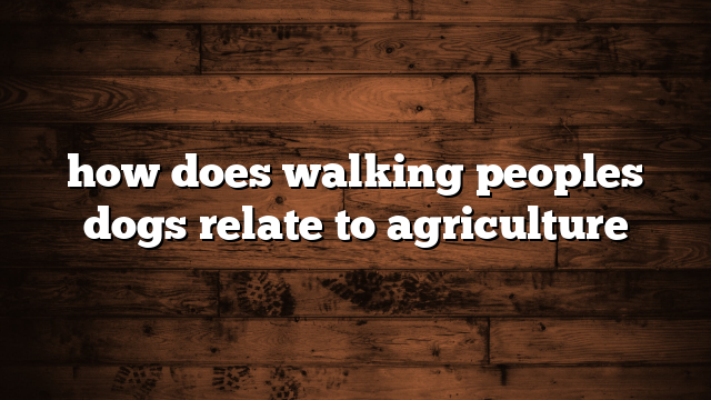 how does walking peoples dogs relate to agriculture