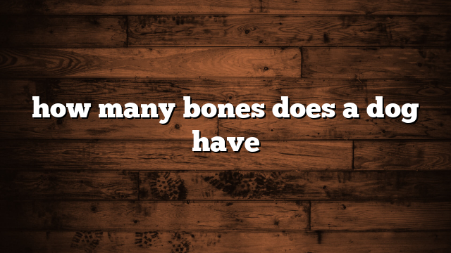 how many bones does a dog have