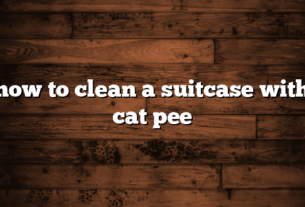 how to clean a suitcase with cat pee