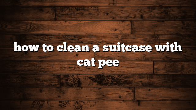 how to clean a suitcase with cat pee