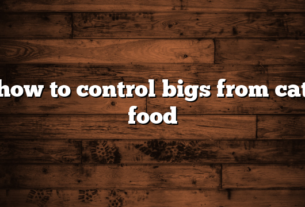 how to control bigs from cat food