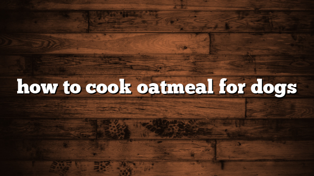 how to cook oatmeal for dogs