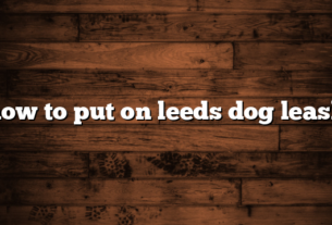 how to put on leeds dog leash