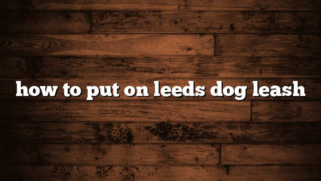 how to put on leeds dog leash